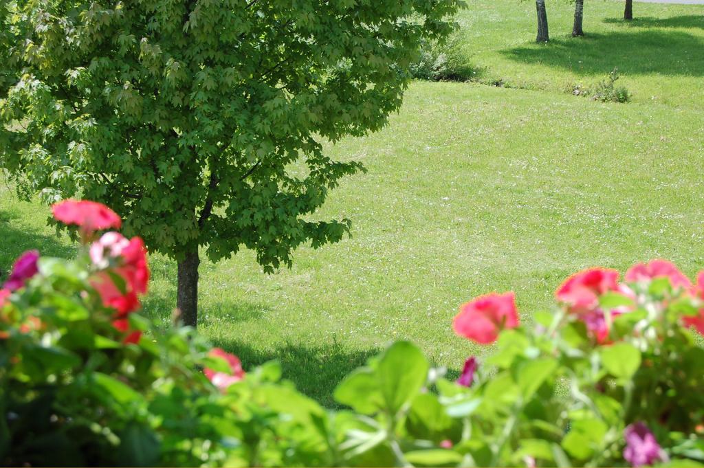 Penzion Belvia Nová Lesná Екстериор снимка